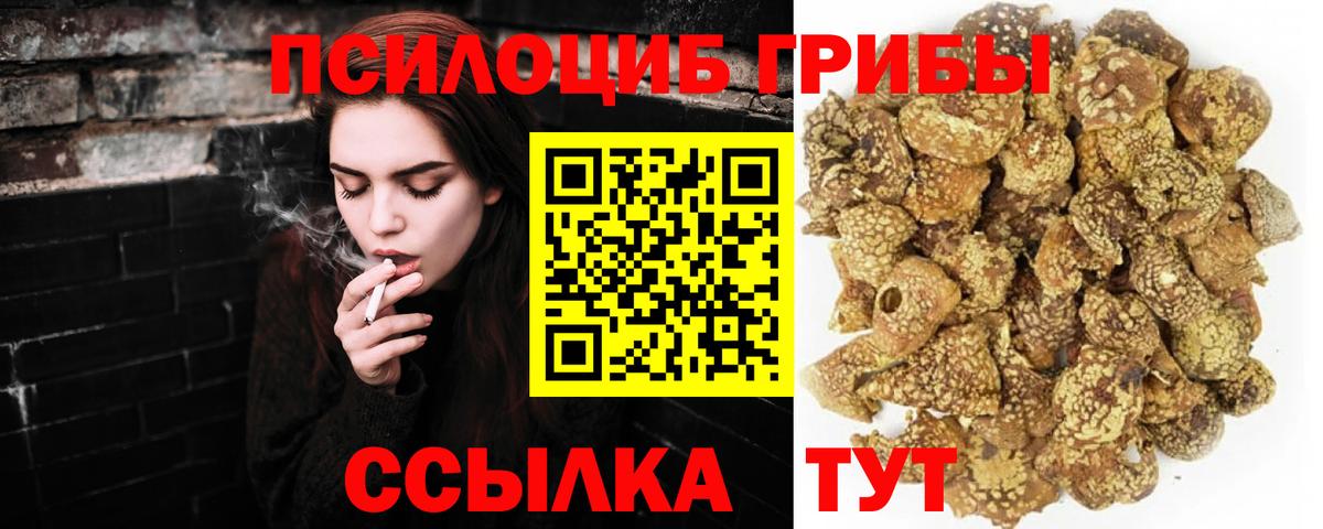 Псилоцибиновые грибы GOLDEN TEACHER  хочу   Усть-Илимск  Вход с VPN 